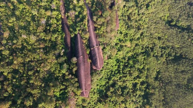 Aerial drone view of Hin Sam Wan, the unique Three Whale Rock formation rising above the dense green jungle canopy of Bueng Kan, Thailand