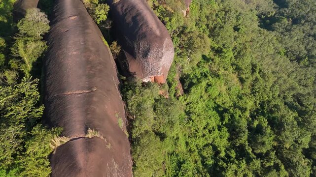 Aerial drone view of Three Whale Rock rising above the dense green jungle canopy of Bueng Kan, Thailand