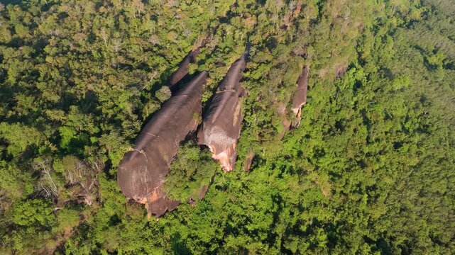 Birds-eye view of a famous natural geological wonder in Isan, capturing the unique rock ridges surrounded by vast wilderness