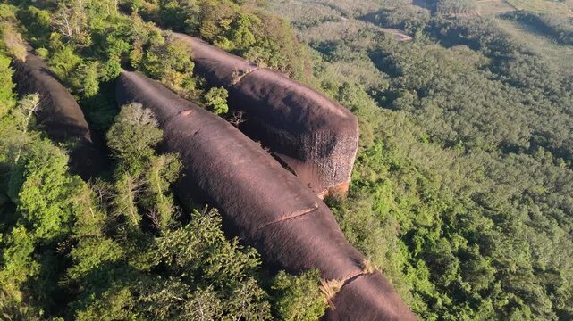 Drone shot flying over the giant, smooth sandstone rock structures that resemble a family of whales swimming in a sea of forest