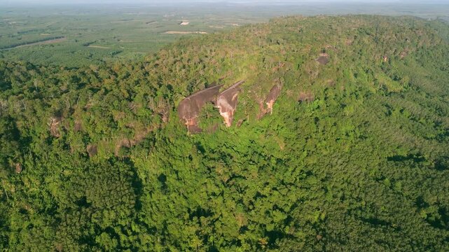 Aerial drone view of Hin Sam Wan, the unique Three Whale Rock formation rising above the dense green jungle canopy of Bueng Kan, Thailand