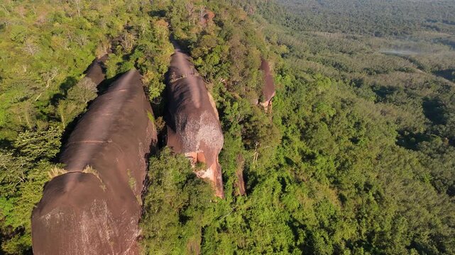 Aerial drone view of Hin Sam Wan, the unique Three Whale Rock formation rising above the dense green jungle canopy of Bueng Kan, Thailand