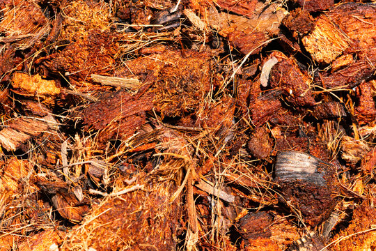 Top view of home made coconut husk chips on the ground. The chips  are natural moist keeper and becoming more popular among orchid growers.