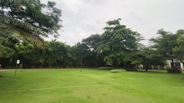 greenary field in the morning, green grass with trees in the site in the city during summer, nature background footage