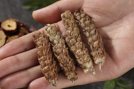 Traditional Chinese Medicine Herbal Ingredients in Hand for TCM Tea Recipe Formulation and Healthy Natural Treatment
