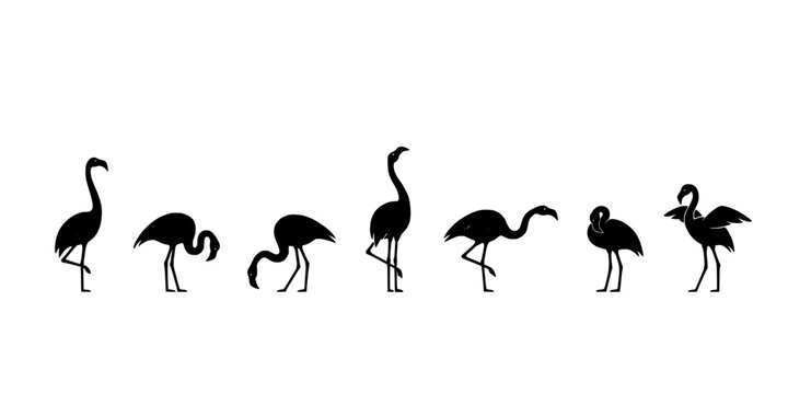 Flamingo Silhouettes Standing in a Line, Set of Seven Black and White Bird Icons for Nature Design Featuring Silhouette, Wading
