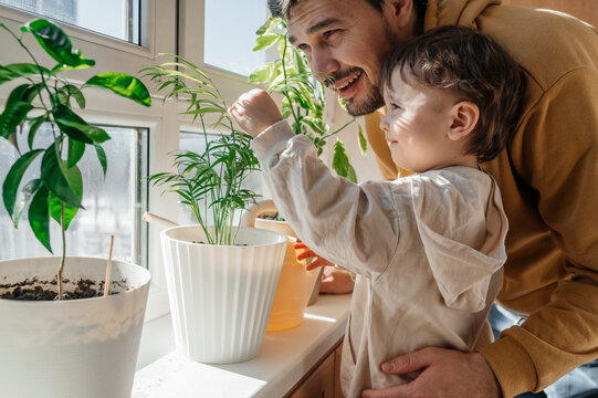 Son touching leaf of plant by father at home