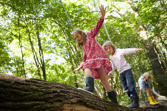 Children balancing on log in forest