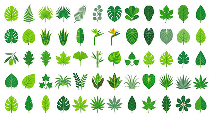 Fototapeta premium Collection of Green Botanical Leaf Icons in Flat Style Vector Illustration