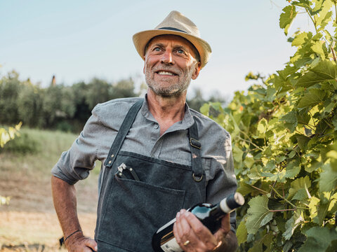 Smiling winemaker holding a wine bottle in a Tuscany vineyard