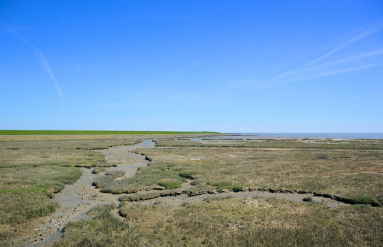 Low tide mudflat at Wadden Sea in Terschelling Netherlands
