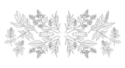 Fototapeta premium A symmetrical arrangement of various leaves and flowers in a decorative pattern.