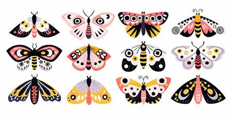 Collection Of Moths And Butterflies Colorful Vector Illustration © Tithi