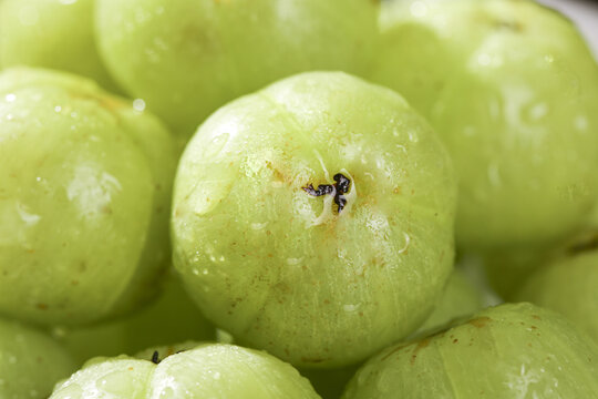 Fresh Green Apples with Water Droplets Studio Still Life Photography