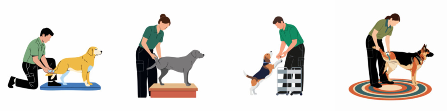 Flat illustration of veterinary professionals performing physical therapy and health examinations on various dog breeds in a clinical setting.