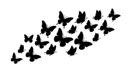 Group Of Butterflies In Flight Black Silhouette © MDHANZALA