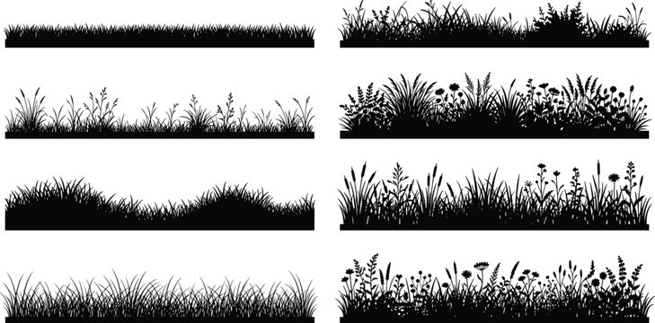 Set of professional grass and meadow flower silhouettes, including various green plant borders for nature design projects