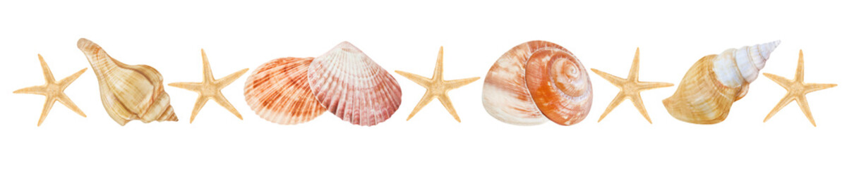 Muscheln und Seesterne  Hintergrund transparent PNG cut out © PhotoSG