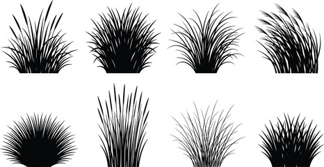 Set of professional wild grass and ornamental plant silhouettes for landscape, garden, and nature design projects © MdSaiful