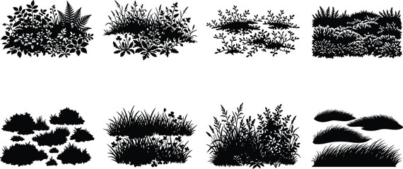 Set of professional wild grass, meadow, and garden plant silhouettes for nature, landscape, and environmental design projects © MdSaiful