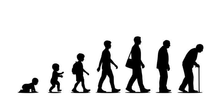 People Silhouettes Showing Stages of Life From Baby to Elderly with Cane Featuring Child, Toddler, Teenager with Adult