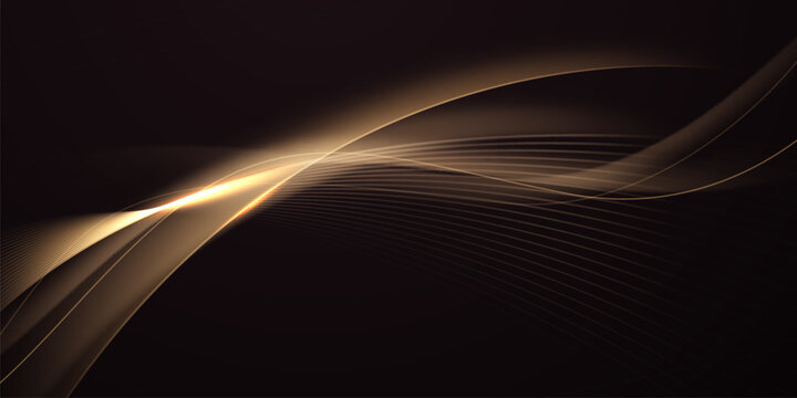 Modern abstract vector design with a black background and luxurious elements.