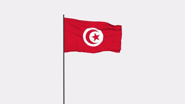 Tunisia Flag Animation 4K Transparent Background with Alpha Channel