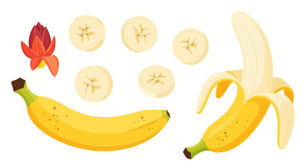 Fresh yellow banana set with slices and tropical flower blossom © tanung
