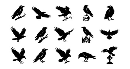 Obraz premium Black bird silhouettes, crow icons, raven shapes, vector graphics