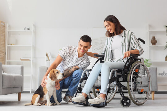 Young man and his wife in wheelchair with Beagle dog at home