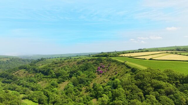 Fast Moving Drone View of Wind Valley with Vibrant, Lush Green Trees and Fields with Small Tractor Mowing Field.