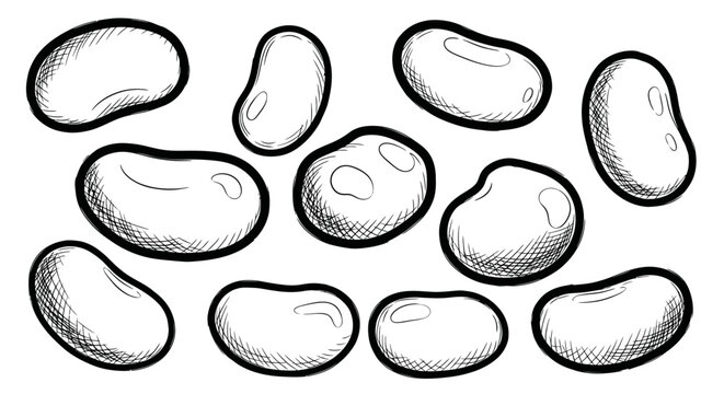 Hand drawn kidney bean collection with cross hatching shading