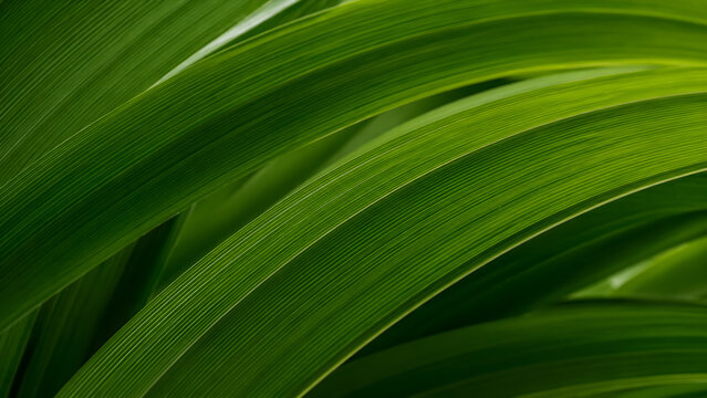 Macro shot of vibrant green screwpine leaves with linear texture