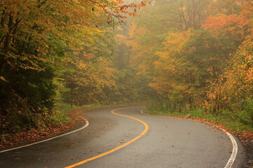 Naklejka premium Road to the summit in Mount Greylock State Reservation in Massachusetts on a rainy autumn afternoon