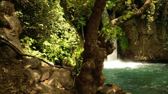 Waterfall and Natural Pool at Banias Nature Reserve Israel