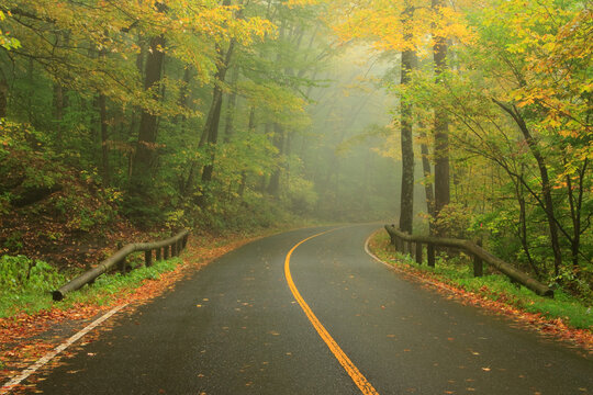 Road to the summit in Mount Greylock State Reservation in Massachusetts on a rainy autumn afternoon