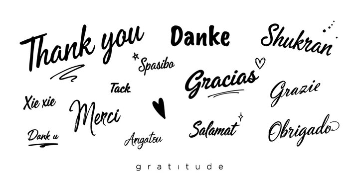 Thank You Written in Various Languages in Elegant Script Featuring Gratitude, Handwritten, Calligraphy with Text and Words