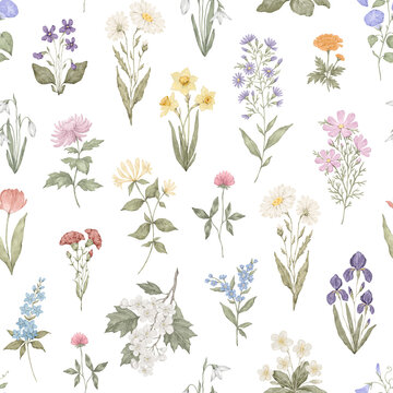 Seamless pattern with elegant wild flowers. Tulip, narcissus, violet, iris, aster, cosmos, clover, chrysanthemum, primrose, daisy, botanical art