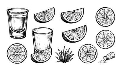 Vintage Tequila Shot Glasses with Lime Sketch Vector EPS10 © MD