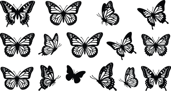 Collection of decorative black butterfly silhouettes with detailed wing patterns isolated on white background vector illustration