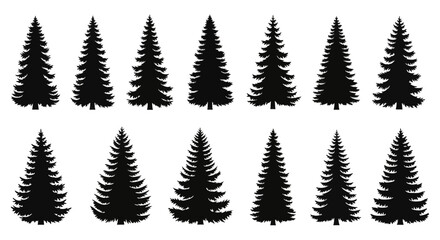 Obraz premium Evergreen tree silhouettes set of pine and spruce conifers