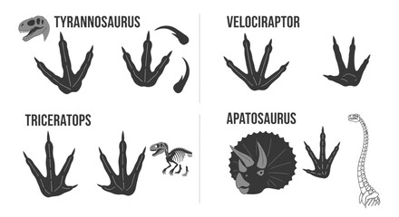 Dinosaur footprints and skeletal remains collection for education © tuyun