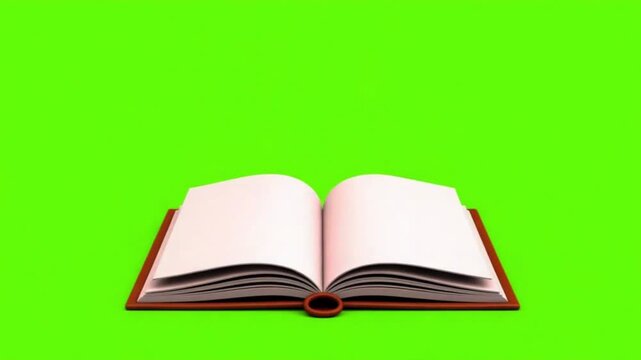 3D Vector Open Journal with Flipping Pages and Floating Hearts on Green Screen Background
