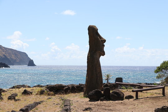 easter island moai statues 