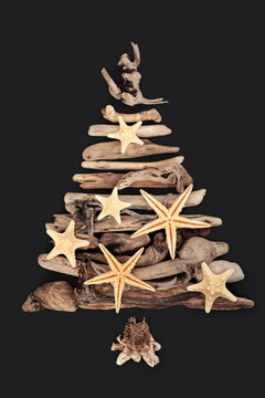 Starfish and driftwood tree abstract concept shape on dark gray background. Natural seaside coastal reclaimed wood design with shells for greeting card, postcard, logo.