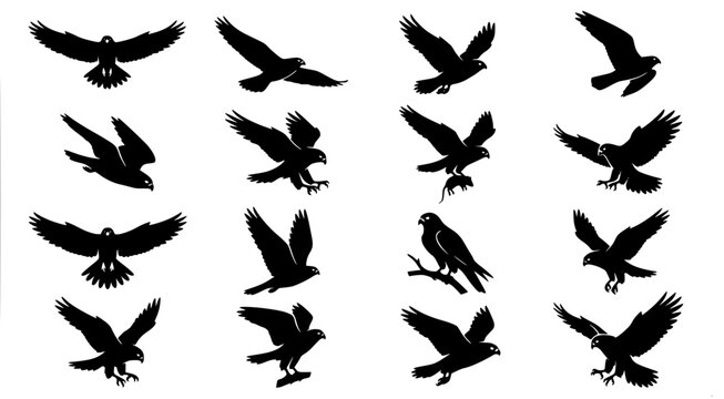 Set of twelve hawk silhouettes featuring various flight and hunting poses for wildlife graphic design and nature conservation branding projects on white background vector art