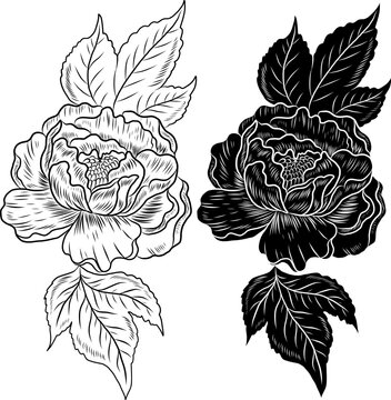 Peony flower vector for tattoo design.Traditional Japanese floral illustration for doodle art and printing on background.Peony vector for sticker and printing on shirt.