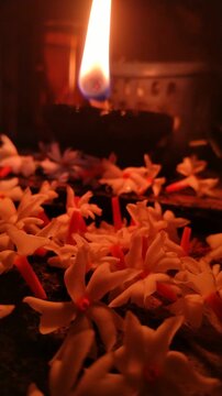 Traditional Oil Lamp with Night Jasmine Flowers Burning in Dark Spiritual Background