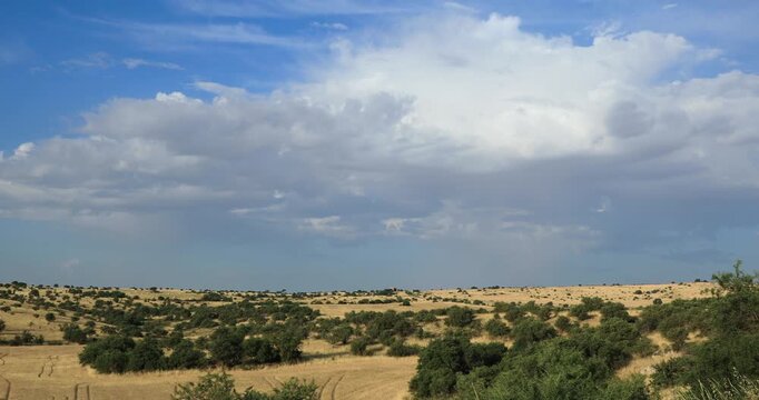 Summer hilly landscape with wheat field in Alta Murgia National Park, in Apulia region southern Italy.