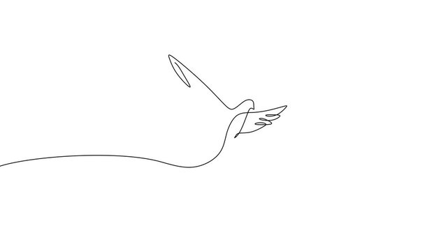 Hand Offering Dove Modern One Line Art Video For Goodwill Concept